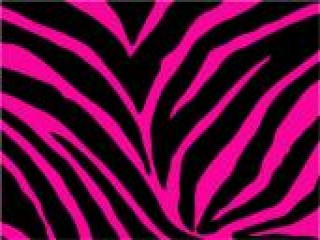 zebraa hot pink!