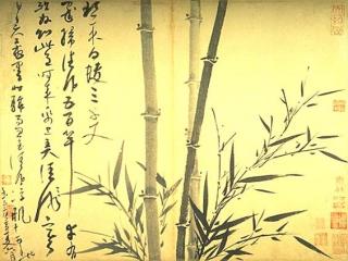 Asian Bamboo Theme